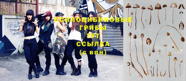 бутират Карпинск