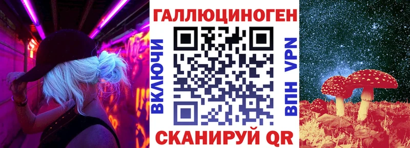 Купить где  Инза  Псилоцибиновые грибы Psilocybe 